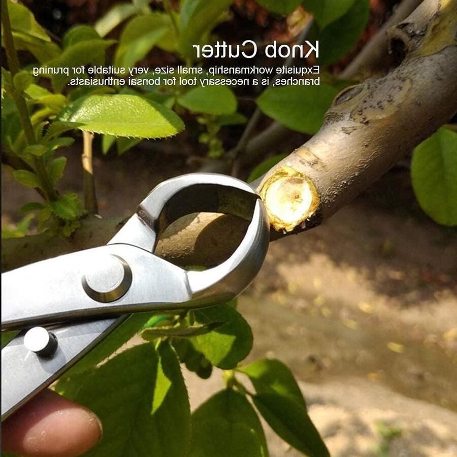Concave Tak Cutter Snoeischaar voor Bonsai Gereedschap voor Bonsai Bomen Kleine Bonsai Schaar