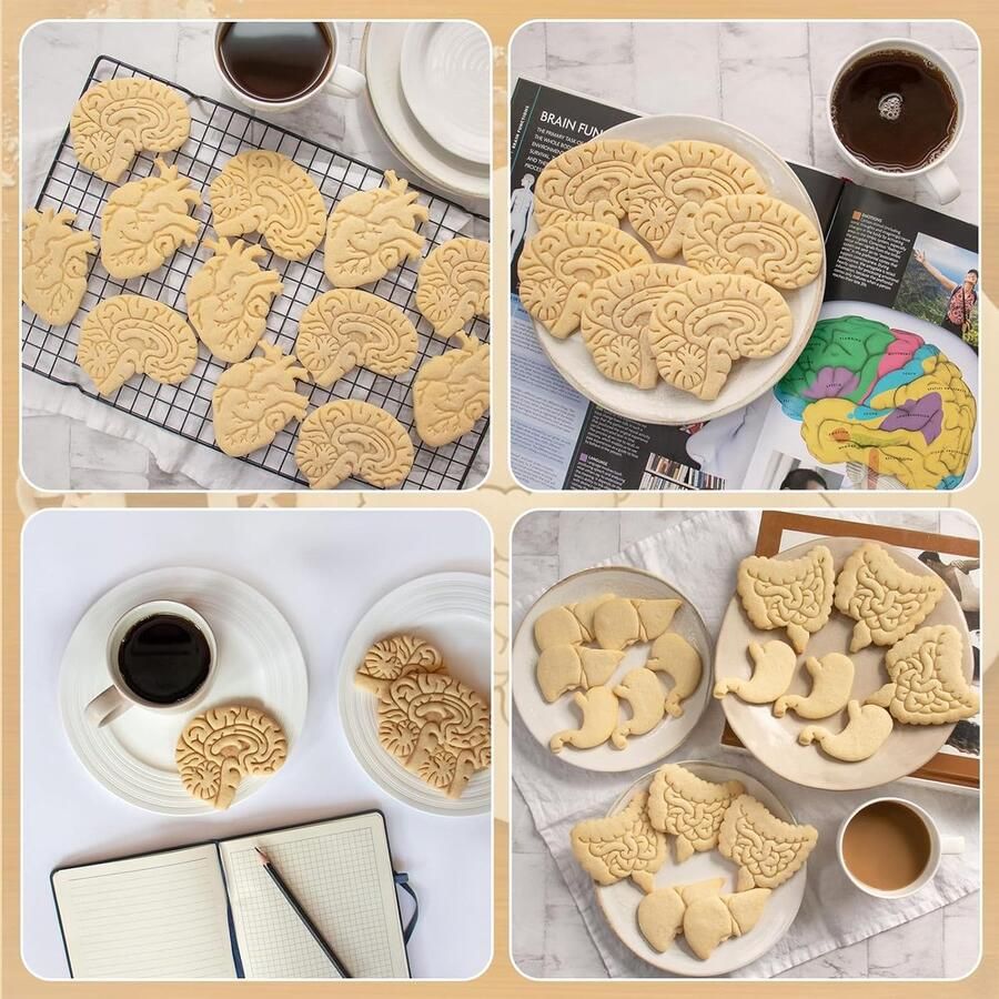 Cookie Cutter Set van 5 Halloween Cookie Cutters Anatomisch Hart Hersenen Darm Maag Lever Cookie Cutters DIY Grappige Cookies voor thuis