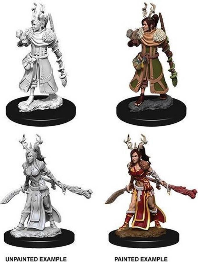 D&D Nolzur's Marvelous Miniatures Female Human Druid