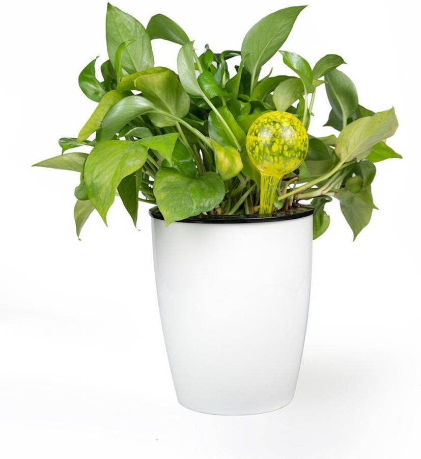 Decopatent 4 Stuks Waterdruppelaar voor Planten Watergever Glas Waterbollen Watergeefsysteem Plantenbollen Geel