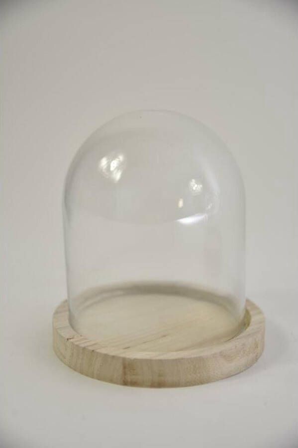 Decoratie Glas Stolp Met Houten Voet Ø12 Hoogte 13 Cm