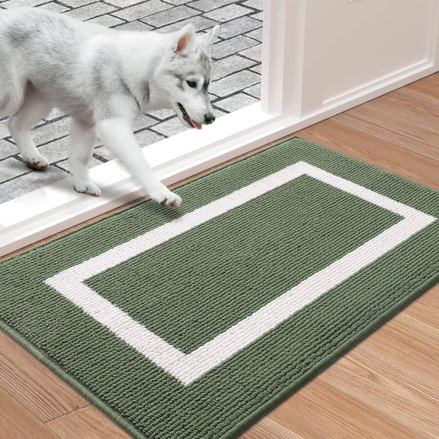Deurmat wasbare voetmat voor binnen antislip vuilvangmat deurmat entree tapijt voor huisdeur binnen 43 x 76 cm groen