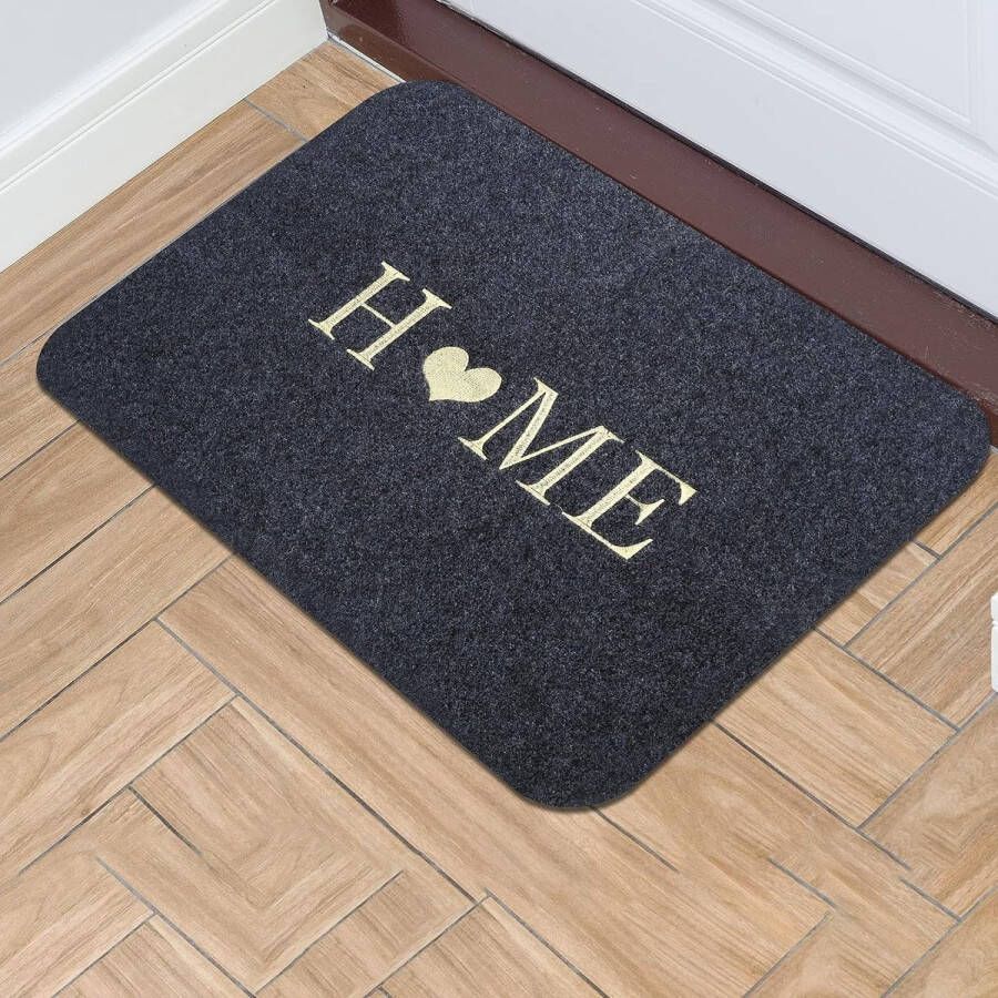 Deurmat welkom vuilmat voetveger schone mat deurmat voor entree huisdeur binnen buiten wasbaar en antislip 40 x 60 cm