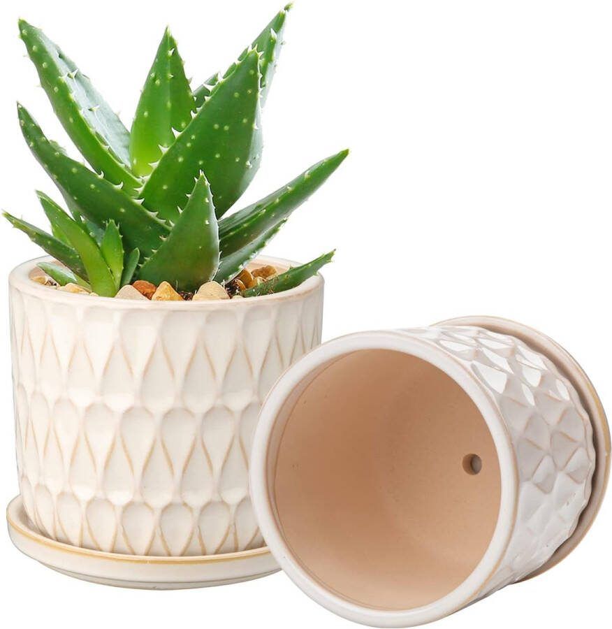 Diameter: 14 cm 11 5 cm set van 2 keramische bloempotten voor vetplanten met afvoergaten en bevestigde schoteltjes witte bloempot voor vetplanten orchideeën kruiden binnen en buiten