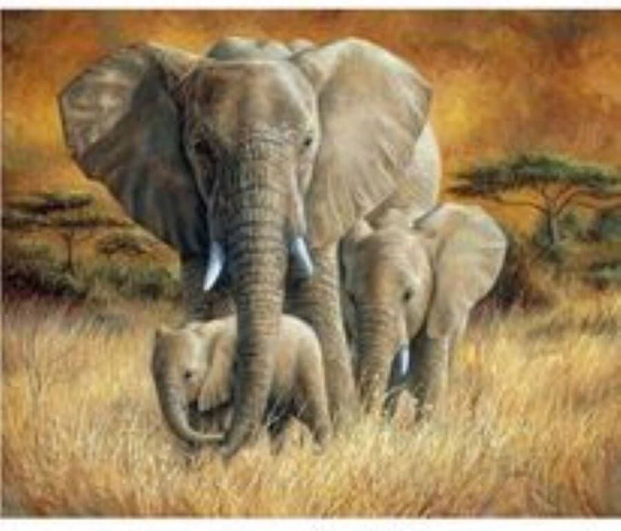 Diamond painting – 3 olifanten – 50x40 cm – vierkante stenen