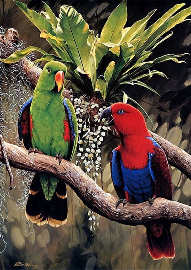 Diamond painting Canvasdoek met voorbedrukte afbeelding 30 x 40 cm papegaai