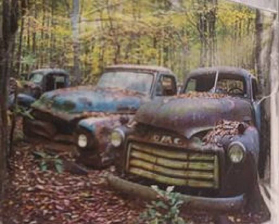 Diamond painting Canvasdoek met voorbedrukte afbeelding 40x50 oude auto's in het bos