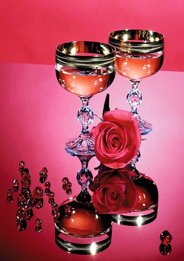Diamond painting Canvasdoek met voorbedrukte afbeelding 40x50cm prachtige wijnglazen met roos