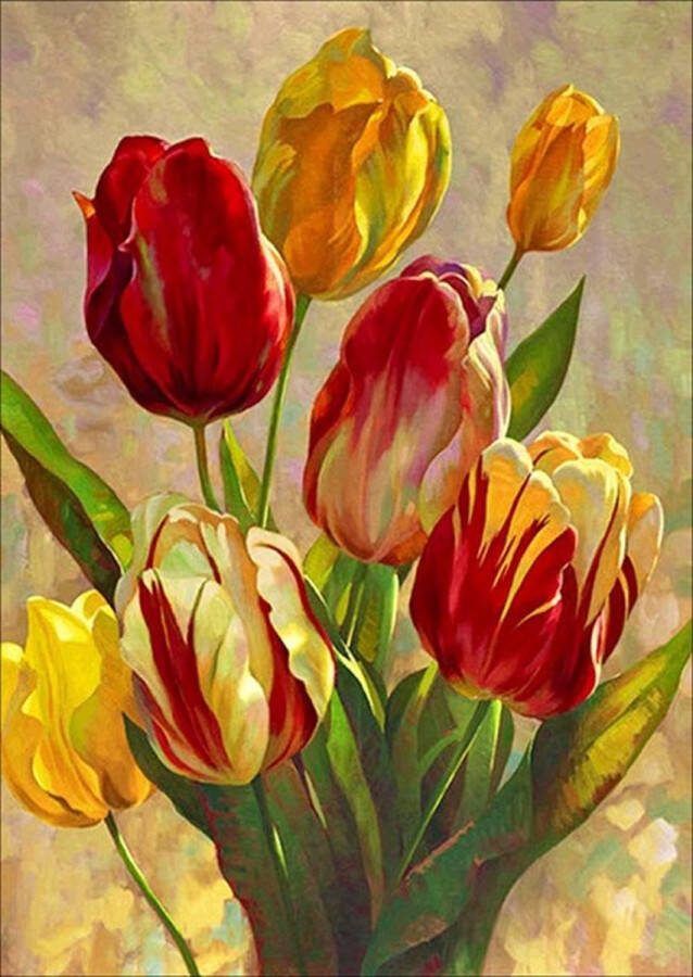 Diamond painting Canvasdoek met voorbedrukte afbeelding 40x50cm Tulpen