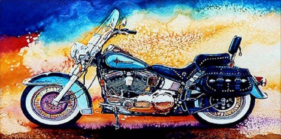 Diamond painting Canvasdoek met voorbedrukte afbeelding 45 x 85 cm prachtige moter