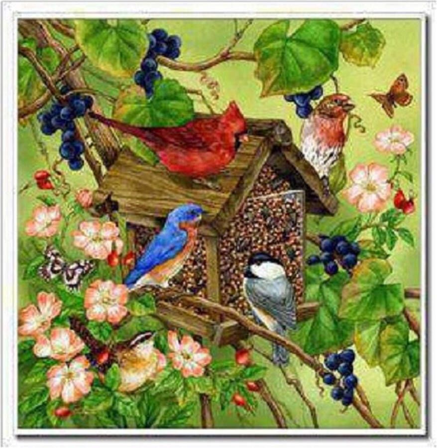 Diamond painting de luxe 40x40cm Vogelhuisje met vogeltjes