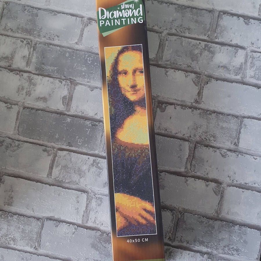 Diamond painting DIY Mona lisa 40 x 50 cm ronde steentjes