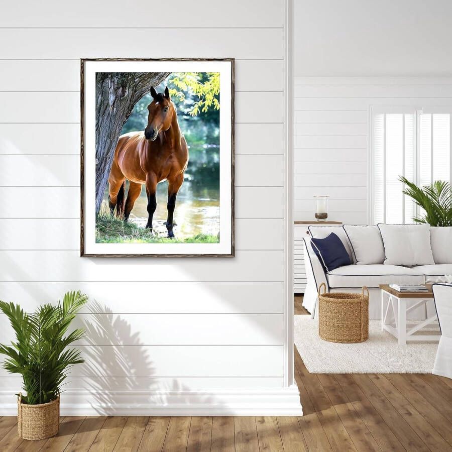 Diamond Painting Paard Horse Diamond Painting set for adults and children 30x40cm