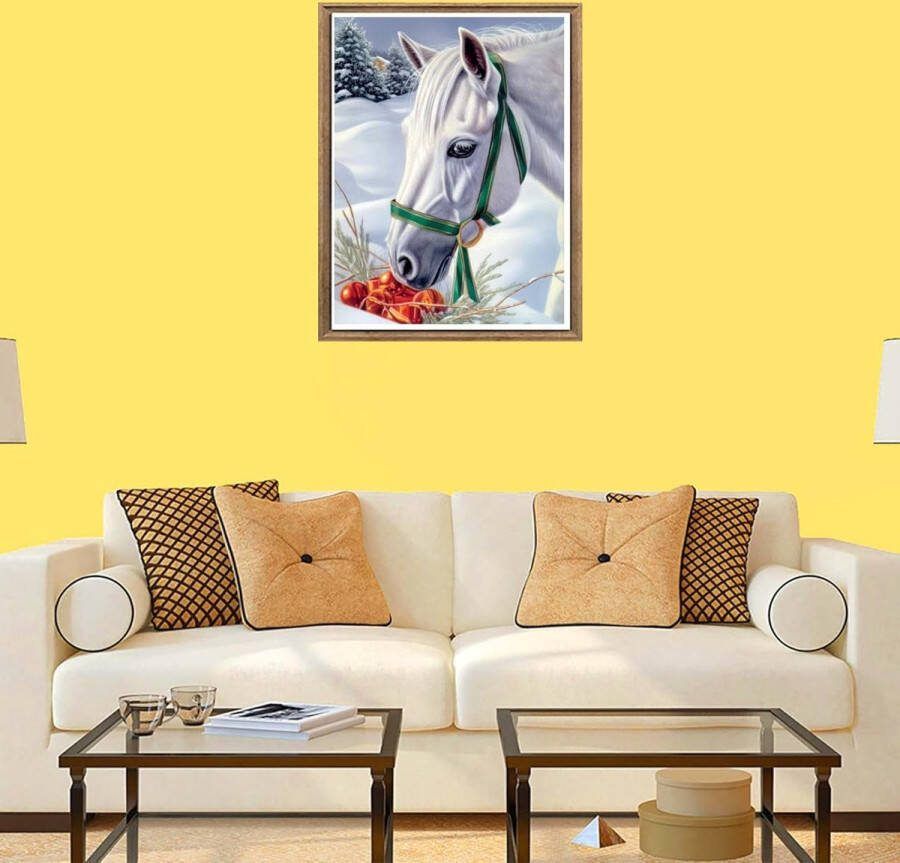 Diamond Painting Paard Horse Diamond Painting set for adults and children 30X40cm