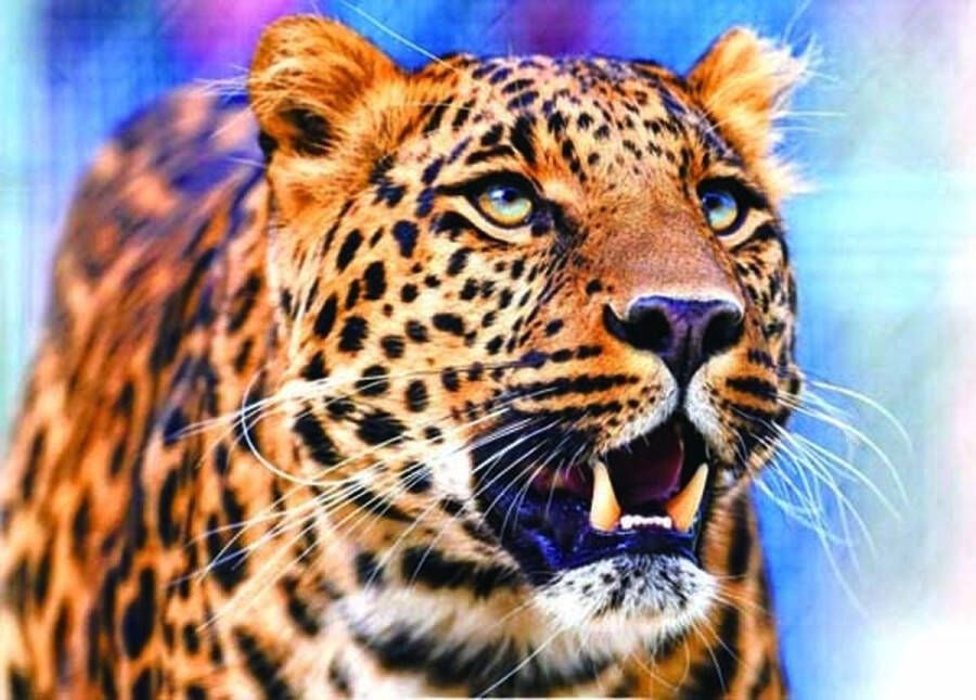 Diamond Painting Pakket Luipaard Panter 40x30 cm Complete Set Volledige Bedekking Ronde Steentjes