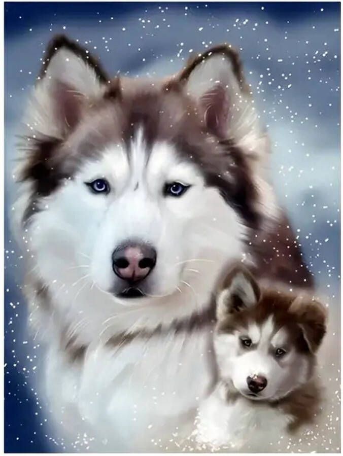 Diamond painting set Husky 35x45cm