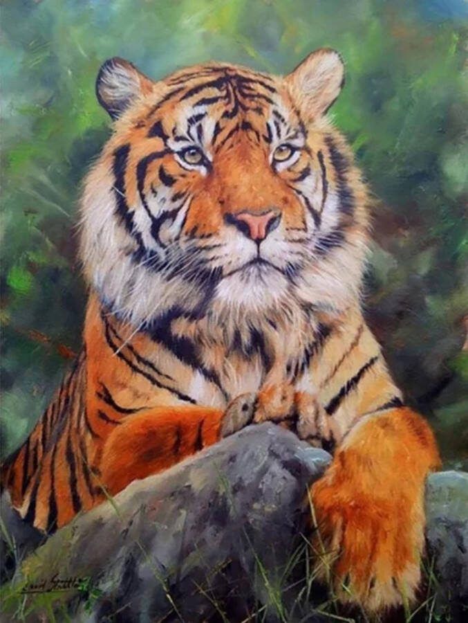 Diamond painting tijger 40x50 vierkante steentjes