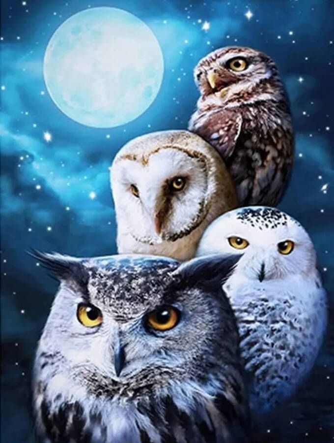 Diamond painting uilen 30x40 ronde steentjes