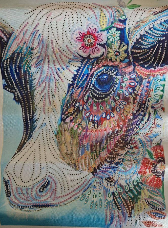 Diamond Painting Volwassen – Diamond painting Kinderen – Volledig pakket – Koeienkop – 30x40cm Diamond painting en accessoires – Hobby en creatief – Knutsel pakket