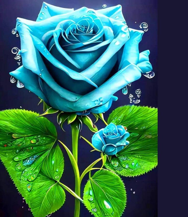 Diamond painting volwassenen 5D Schilderset voor thuis 30 x 40 cm wanddecoratie