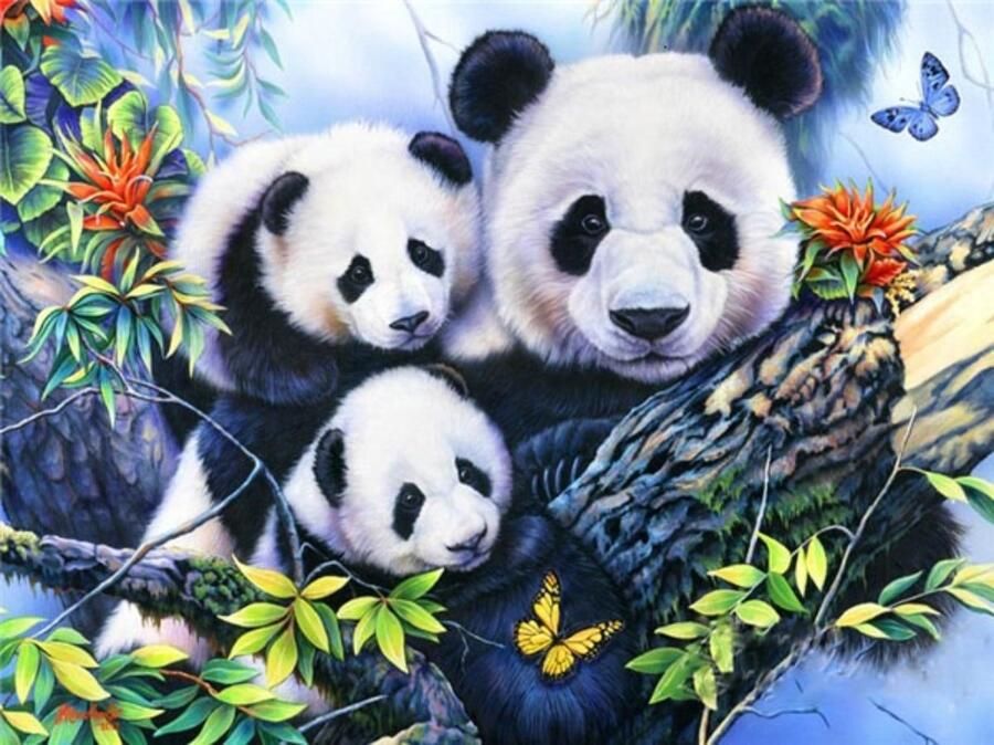 Diamond Painting Volwassenen Diamond Painting Kinderen Diamond Painting Accessoires Panda 30x40cm