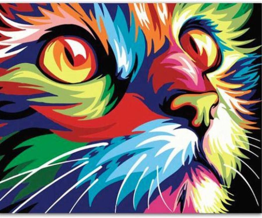Diamond painting voor volwassenen Colorful cat Hobby Volwassenen Ronde steentjes