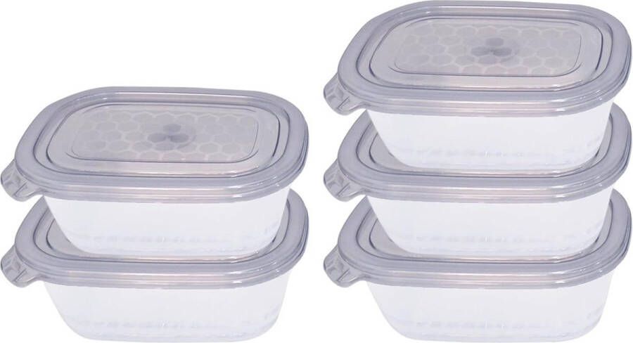 Diepvriesdozen Set van voedselopslagcontainers magnetronbestendig 5 containers met 5 sluitdeksels lekvrij keuken en voorraadcontainers kunststof 500 ml grijs deksel (5ps-Box-GrayLids) diepvriesdozen