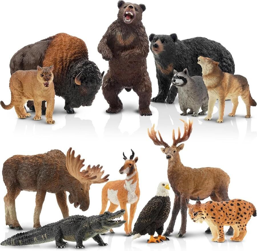 Dieren 12 stuks dierenfiguren set van 12 stuks bos speelfiguren speelgoed Noord-Amerikaanse bosdierfiguren bevat wasbeer lynx beer adelaar plastic dieren dierentuin jungle wilde