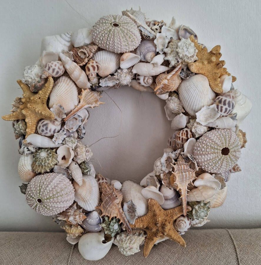 DIY Hobbypakket Schelpenkrans Natuurlijke Materialen Krans schelpen