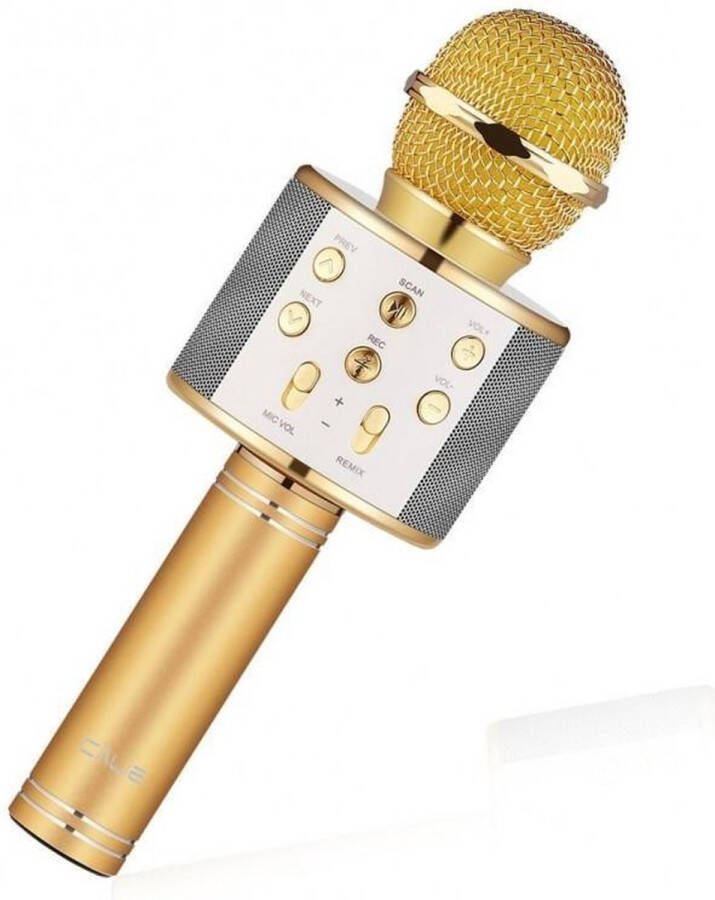 Draadloze Bluetooth Karaoke Microfoon HIFI WS-858 Goud+RATIE MG AUX KABEL