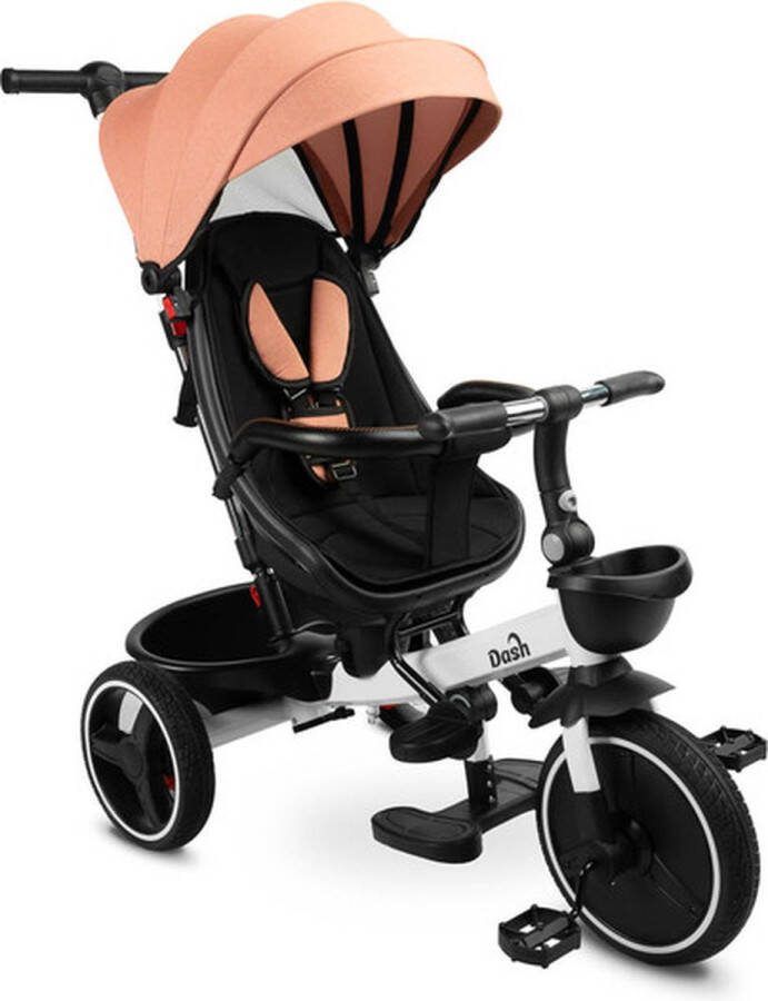 Driewieler BIKE DASH Roze