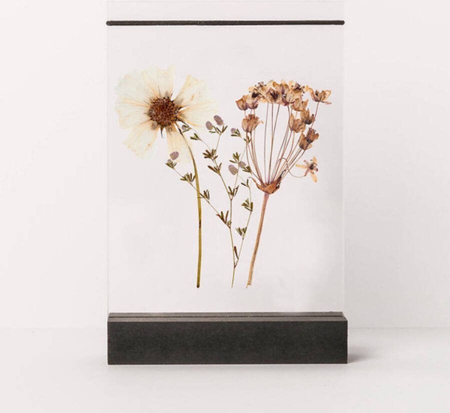 Droogbloem houder Decoratie Droogbloemen Binnen decoratie 18mm Zwart