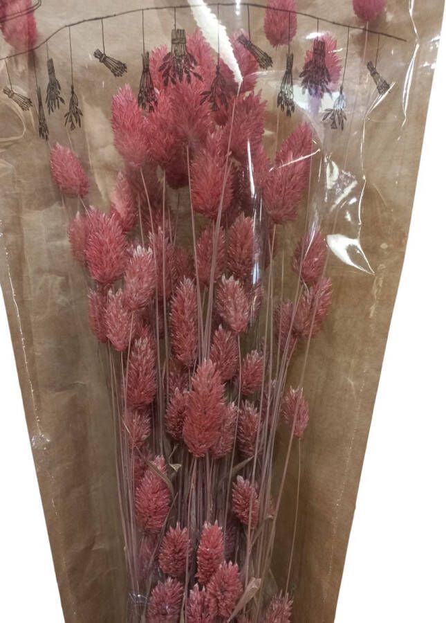 Droogbloemen bos Soft pink