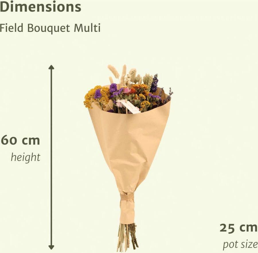 Droogbloemen Field Bouquet Multi Ø25 ↨60cm