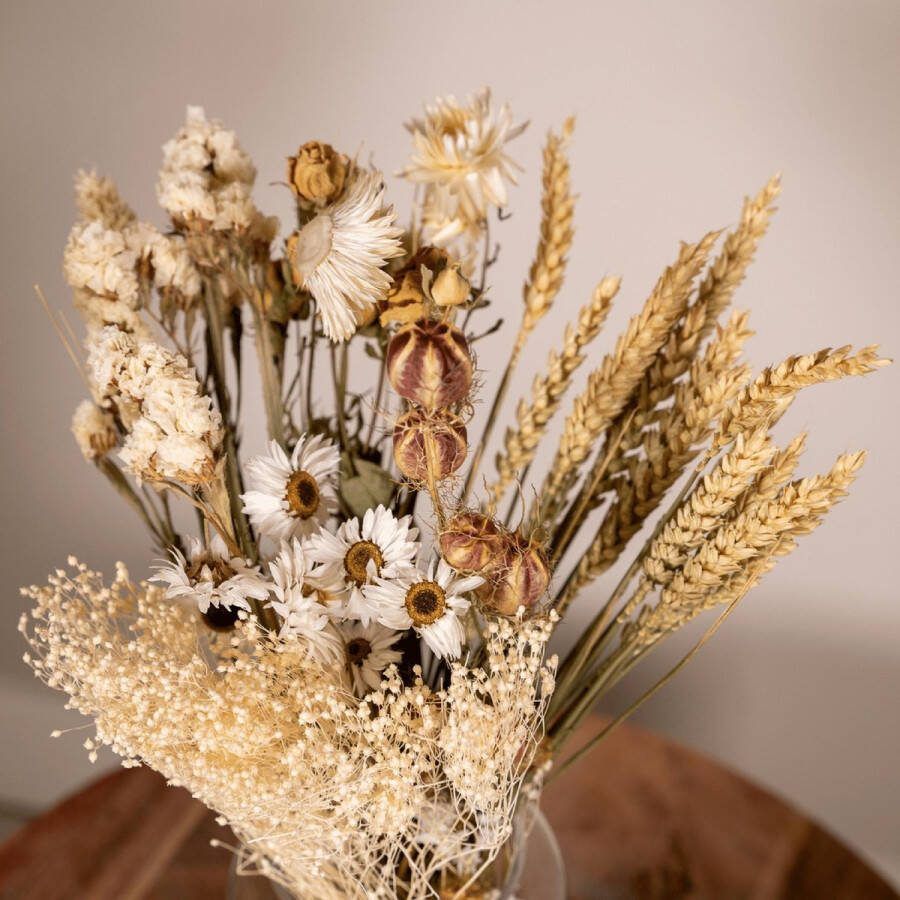 Droogbloemen Field Bouquet Natural Ø15 ↨35cm