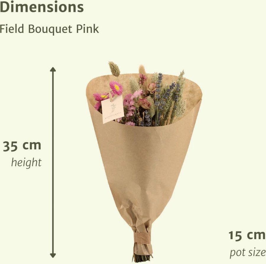 Droogbloemen Field Bouquet Pink Ø15 ↨35cm