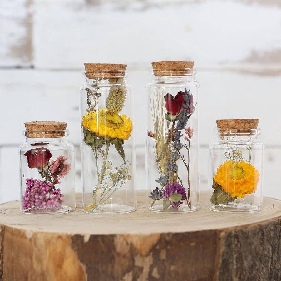 Droogbloemen in glas met kurk set van 4 gedroogde bloemendecoratie in elegante smalle glazen (kleurrijk)