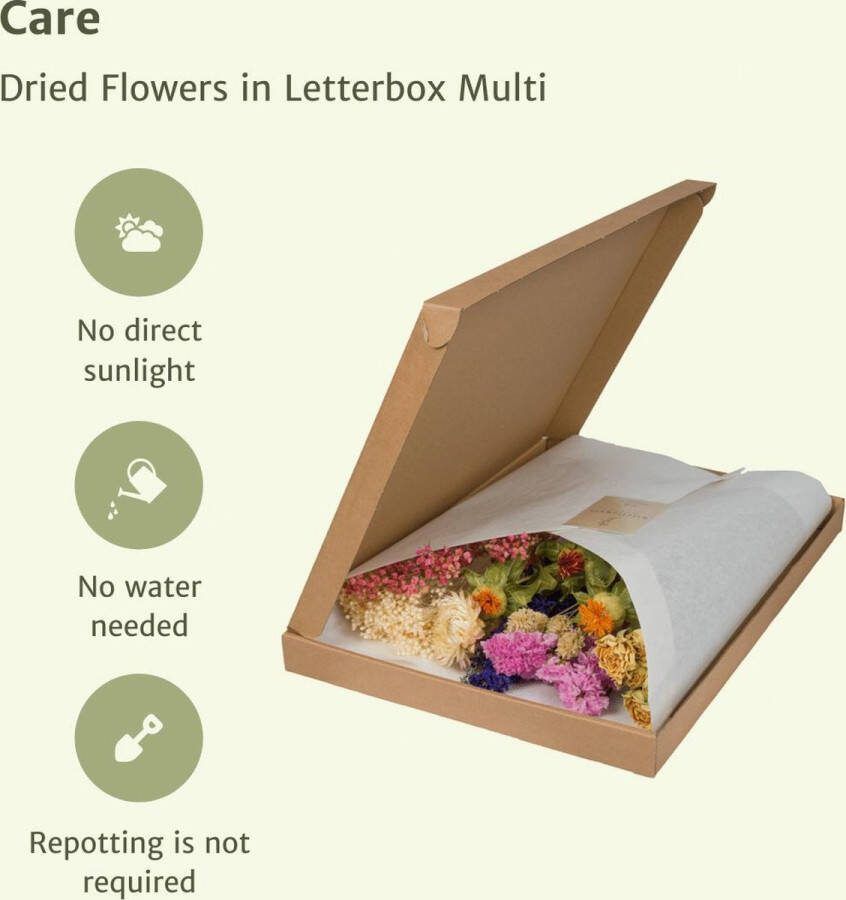 Droogbloemen in Letterbox Multi