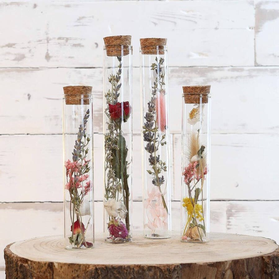 Droogbloemen in reageerbuis met kurk set van 4 gedroogde bloemendecoratie in glazen fles (kleurrijk)