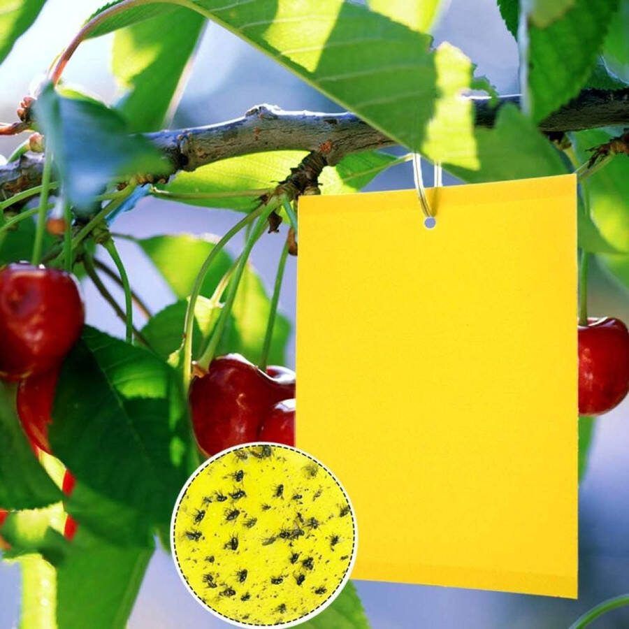 Eco-vriendelijke Yellow Sticky Fly Traps 20 Stuks Dubbelzijdige Professionele Vliegenvanger 20x15cm voor Binnen en Buiten Plantenbescherming Ongediertebestrijding Vliegenvanger