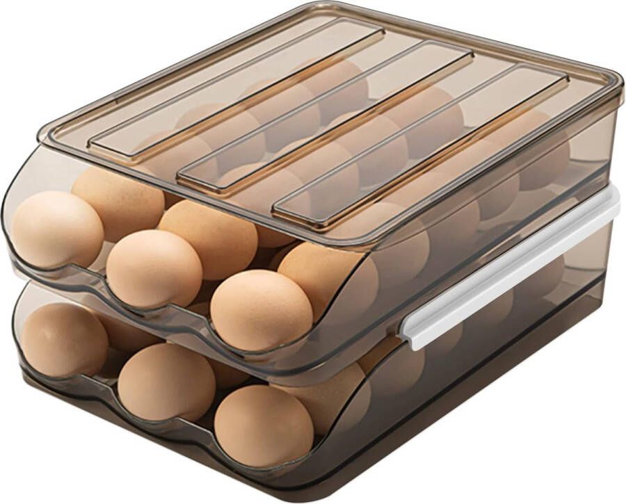 Eierdoos Eieropbergdozen Koelkast Dubbele Laag Houdt 36 eieren vast met deksel Eiercontainer voor koelkast