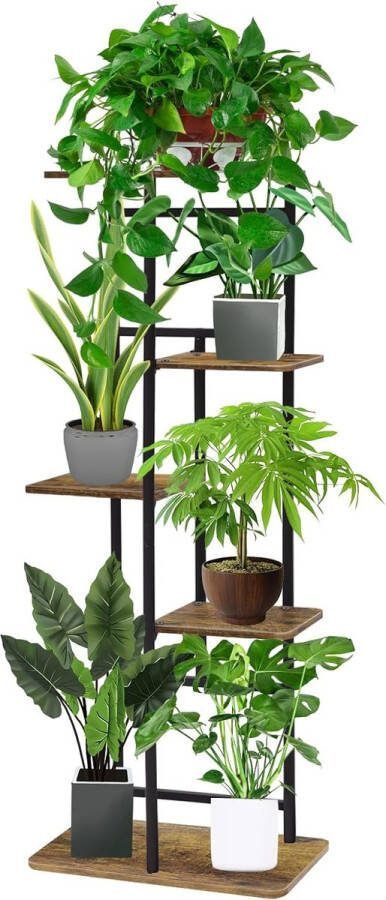 Elegante plantenrek