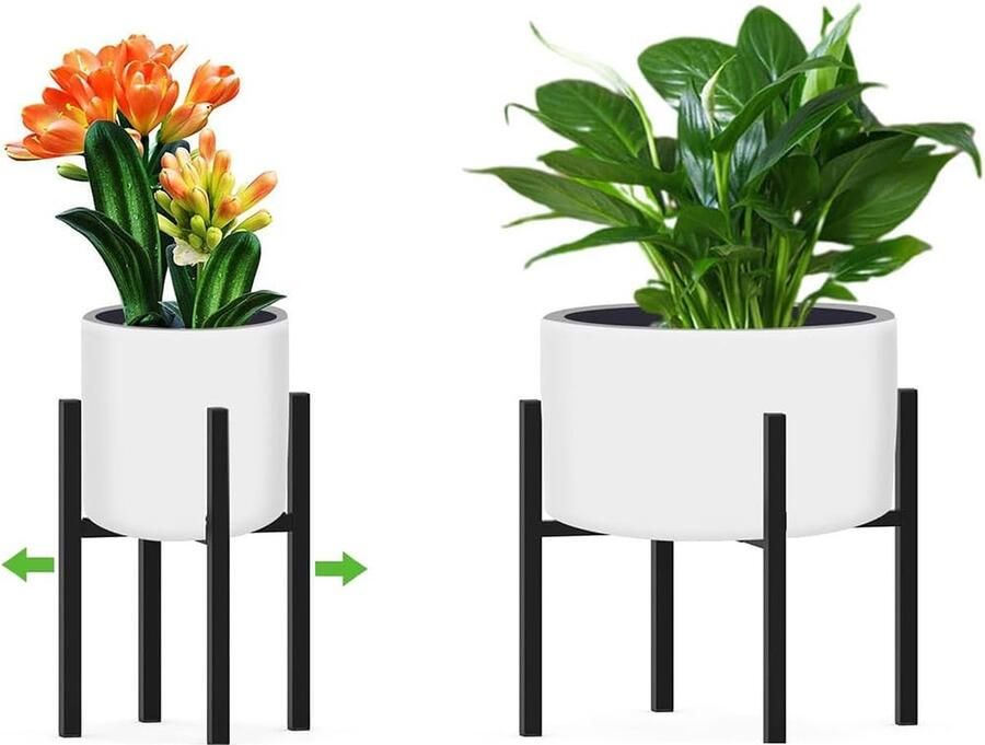 Elegante plantenrek