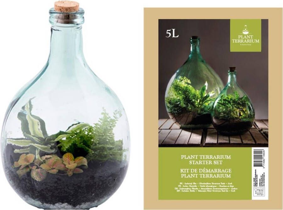 Plantenwinkel.nl Plantenwinkel Terrarium fles S 5L 21x21x33 cm mini ecosysteem