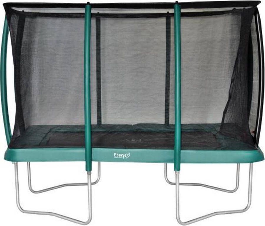 Etan Deluxe 1075 veiligheidsnet 310 x 232 cm groen