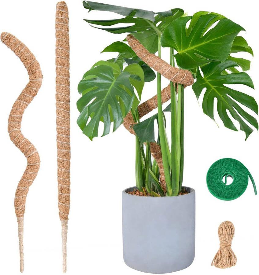 Flexibele mosstokken voor planten 2 x 60 cm Monstera mosstaafset voor klimplanten handgemaakte slanke plantenstokken voor indoorplanten aantrekkelijker groen