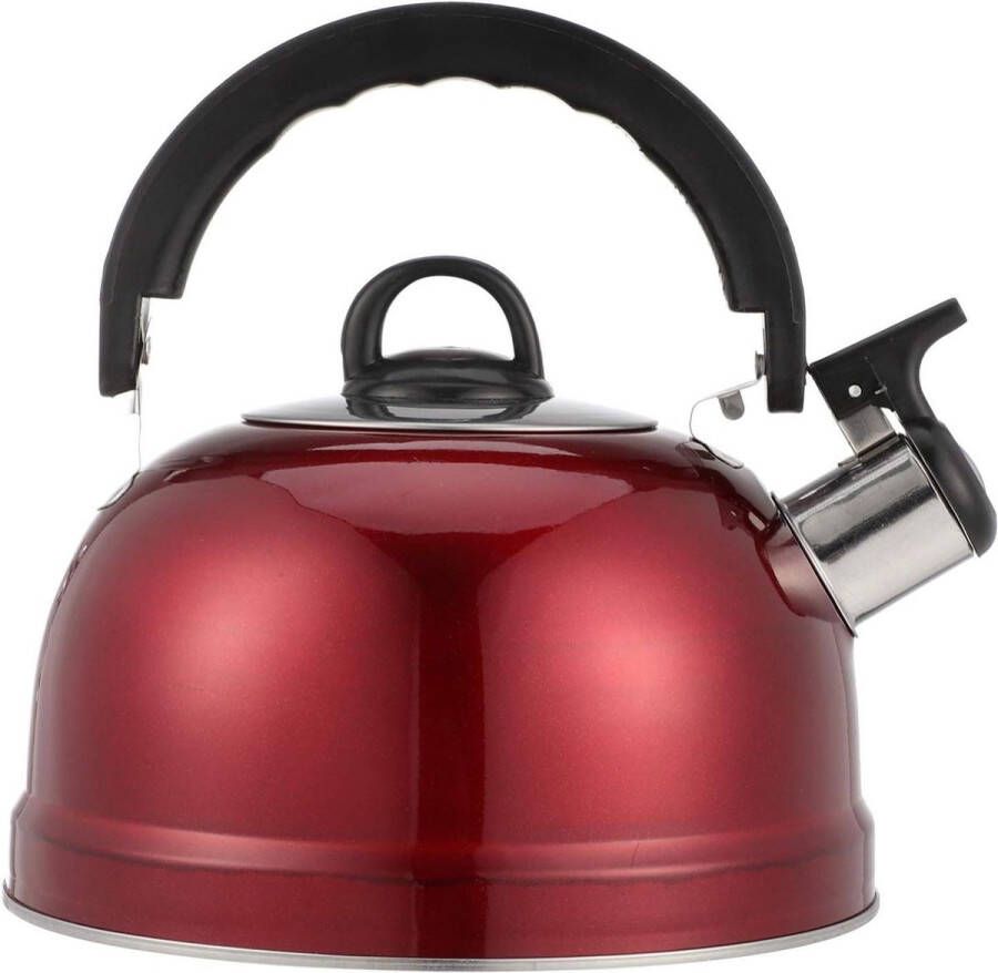 Fluitketel 2 0 liter Roestvrij Staal Inductie Theepot Handvat Keuken Gasfornuis Camping