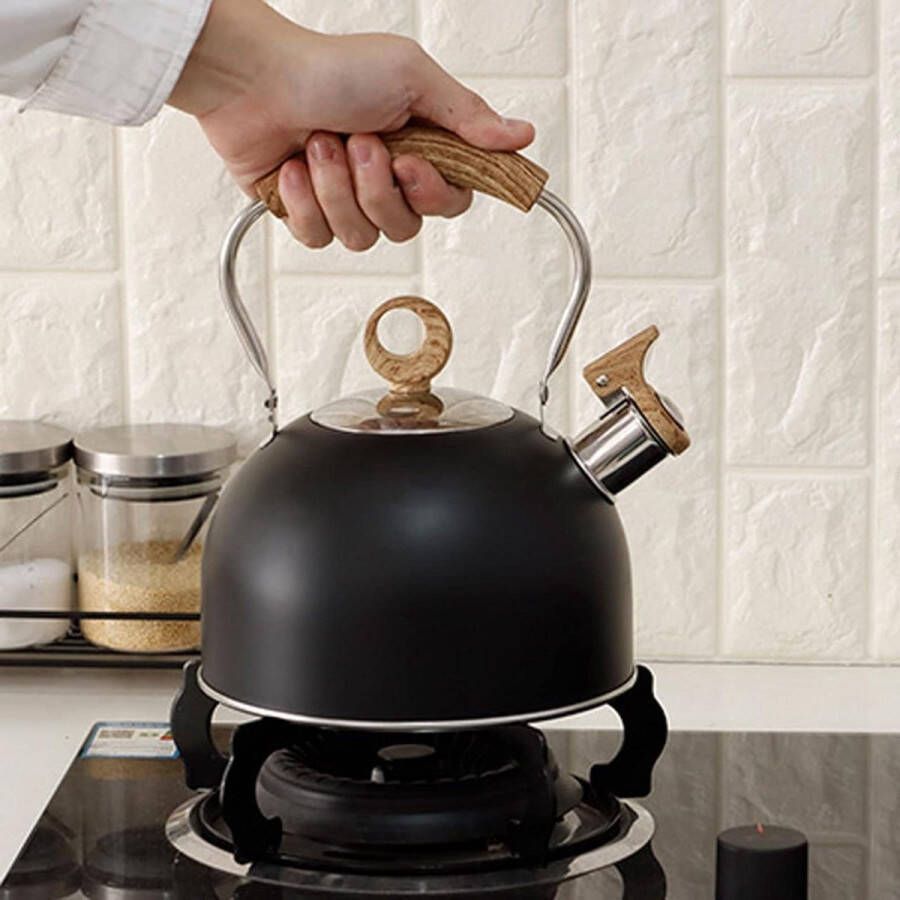 Fluitketel 2.5 liter roestvrijstalen theepot handvat elektrisch fornuis gasfornuis zwart