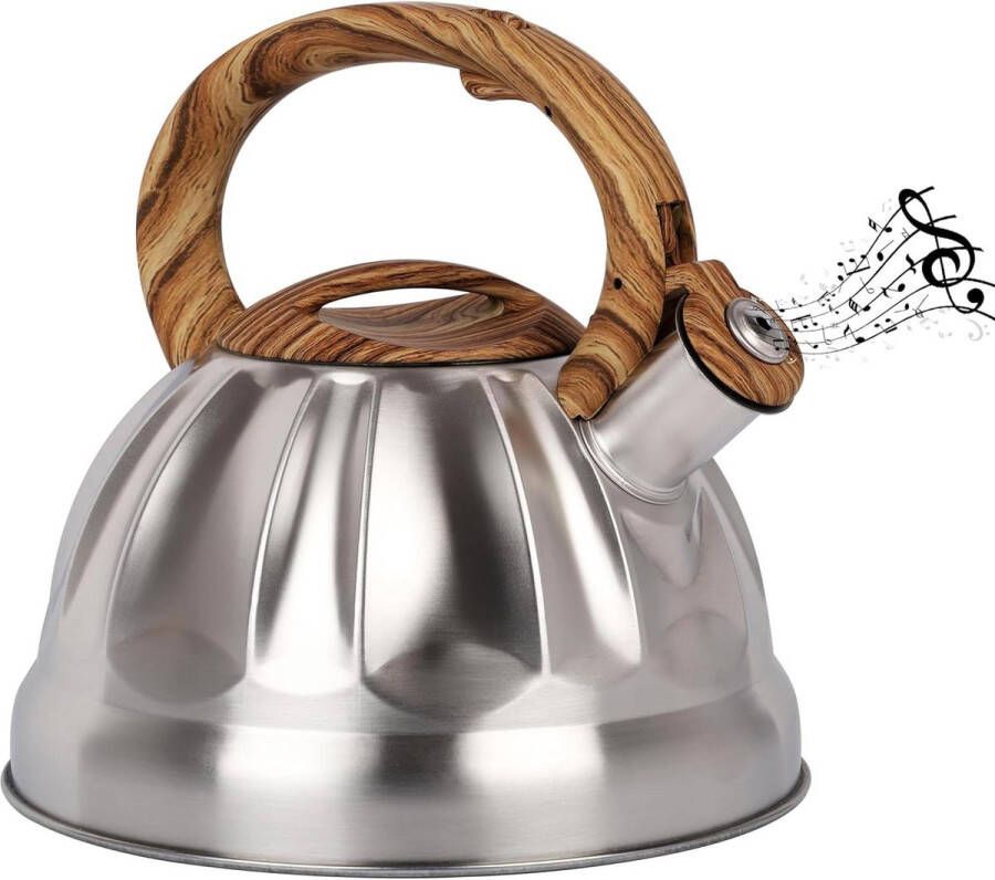 Fluitketel 3 0 l Theepot voor inductiekookplaat Roestvrijstalen kampeerketel voor warm water Theepot voor thee koffie