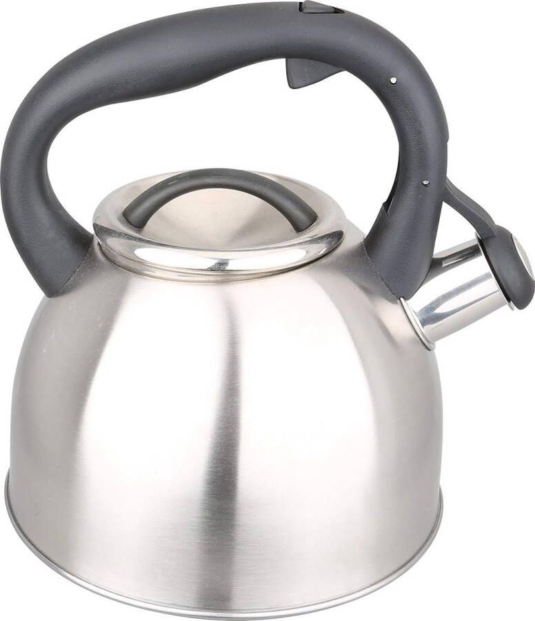 Fluitketel 3 0 liter Roestvrij Staal Ergonomische Handgreep Voor Inductie en Alle Warmtebronnen